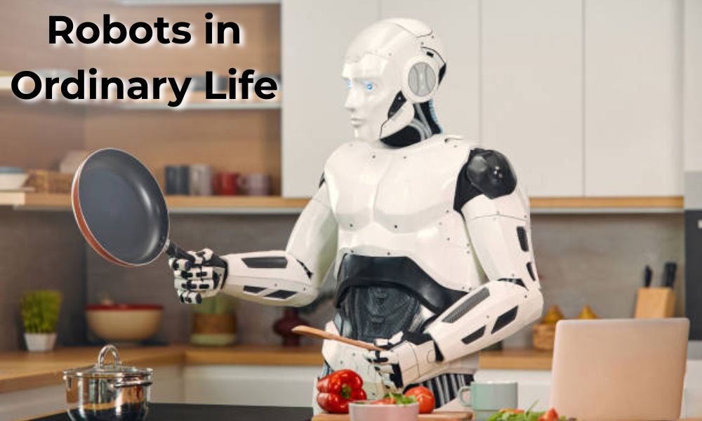 Robots in Ordinary Life